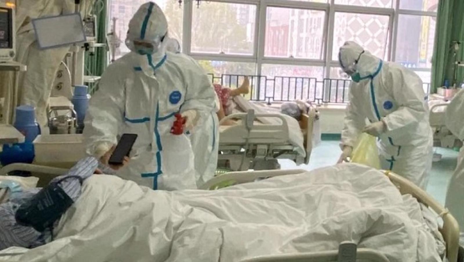 West Nile, prima vittima nel veneziano