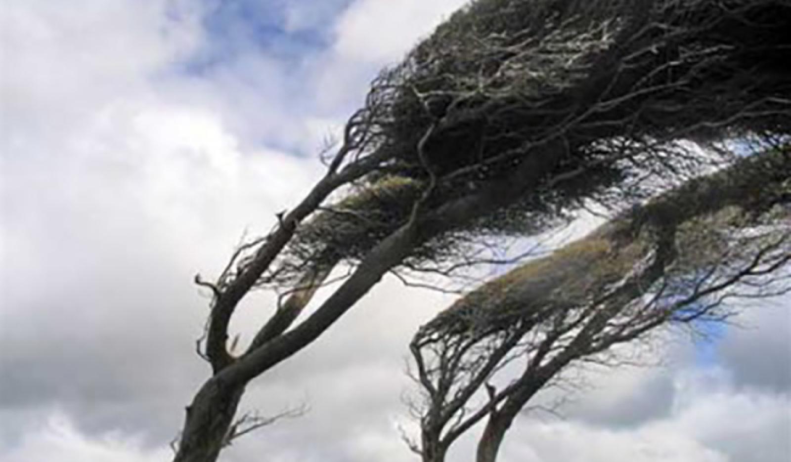 Meteo, attenzione al forte vento