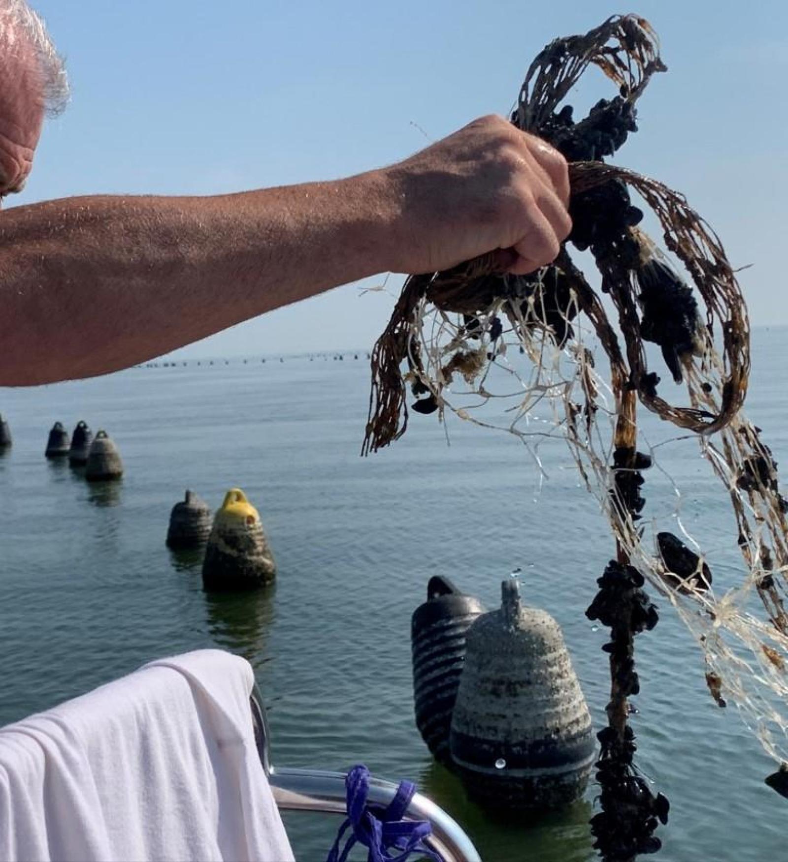 Rifiuti in mare, parte il progetto