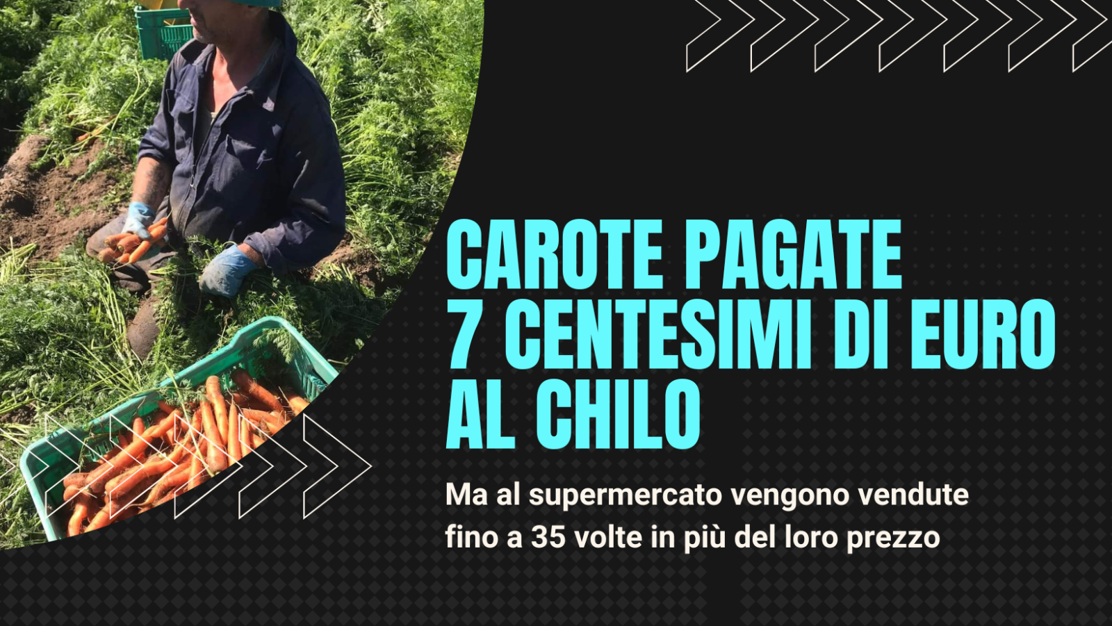 La tragedia delle carote