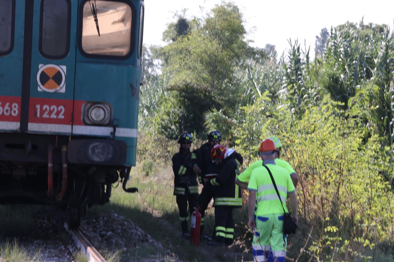 Dieci studenti chioggiotti nella littorina che ha investito il toro