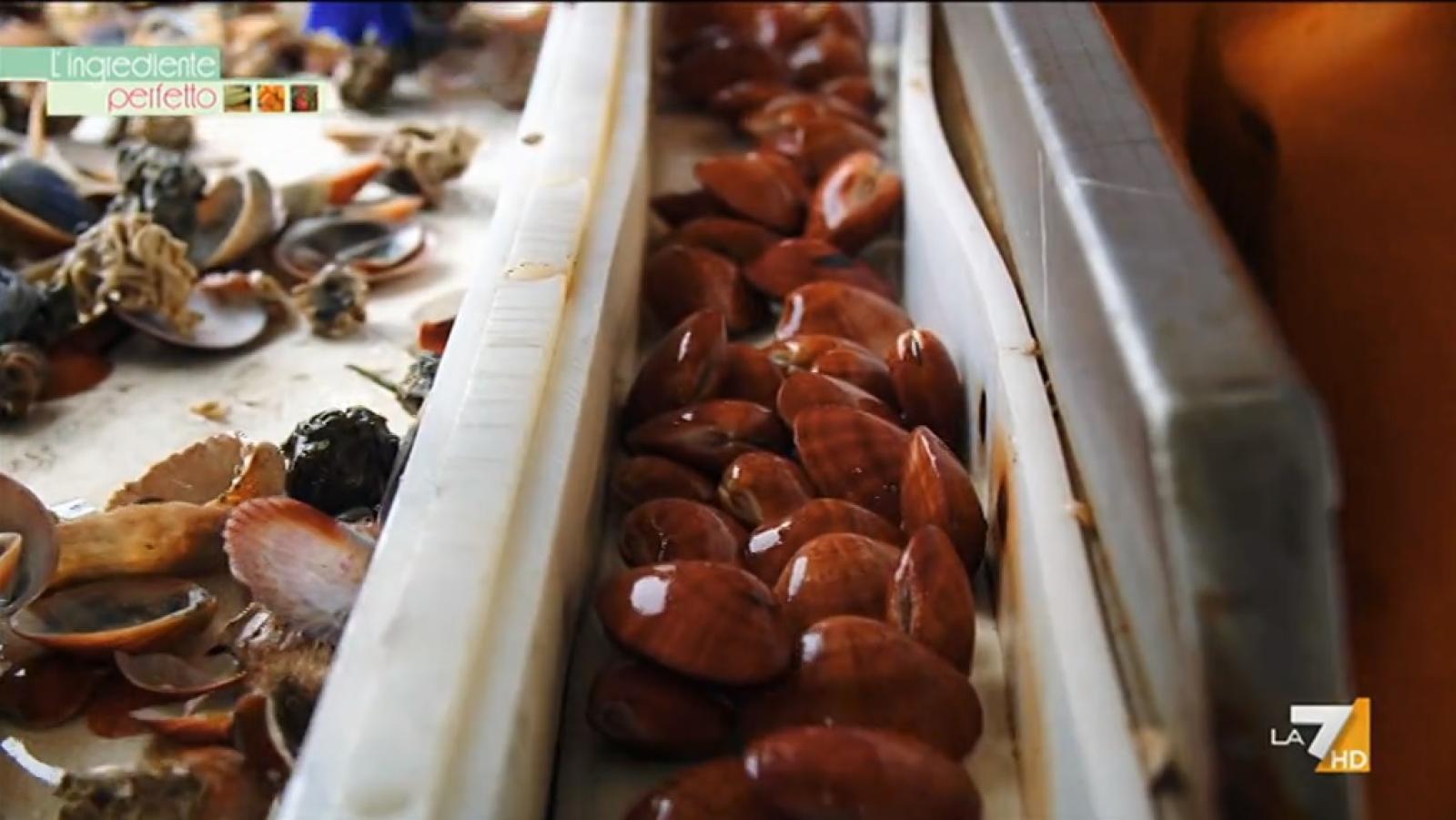 I Fasolari con la Cucinotta su La7