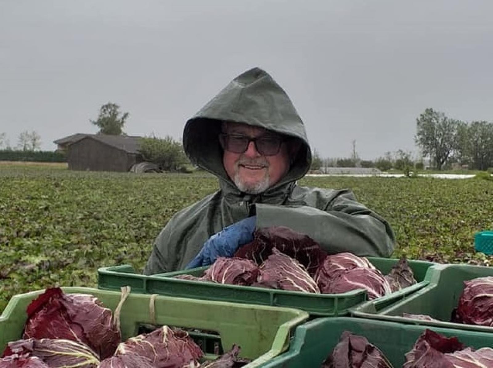 Il radicchio vola al Macfrut e punta ai mercati esteri