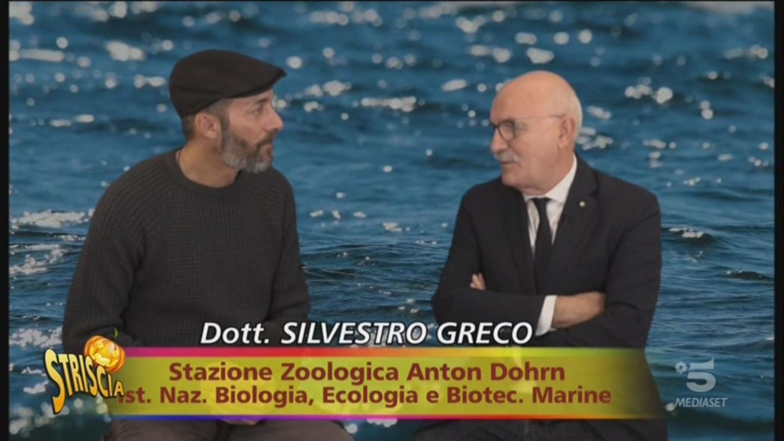 Striscia la notizia a Chioggia