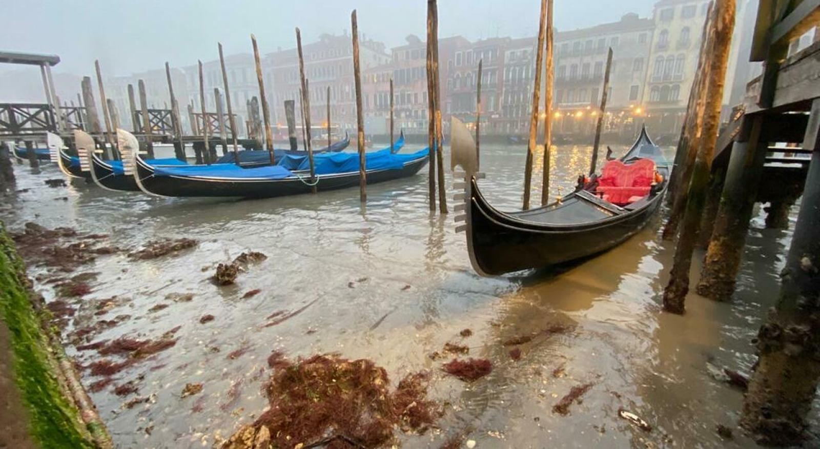 Eccezionale bassa marea, gondole in secca