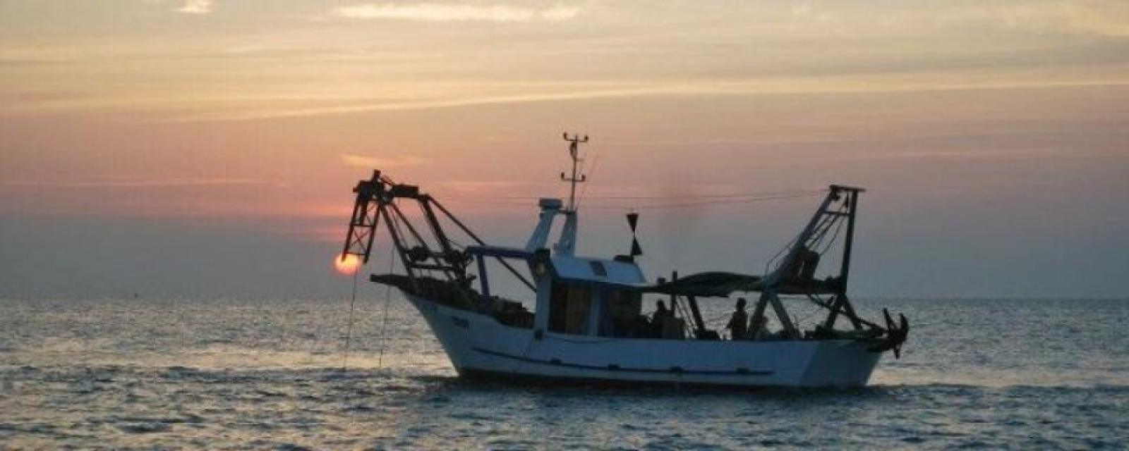 Giornata nazionale della pesca, il settore ittico arriva a Chioggia