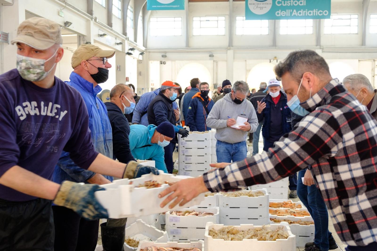 Mercato Ittico al Giro-E d'Italia