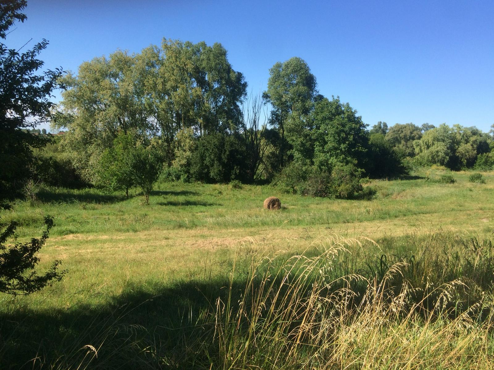 Marice, futuro sostenibile e tutelato