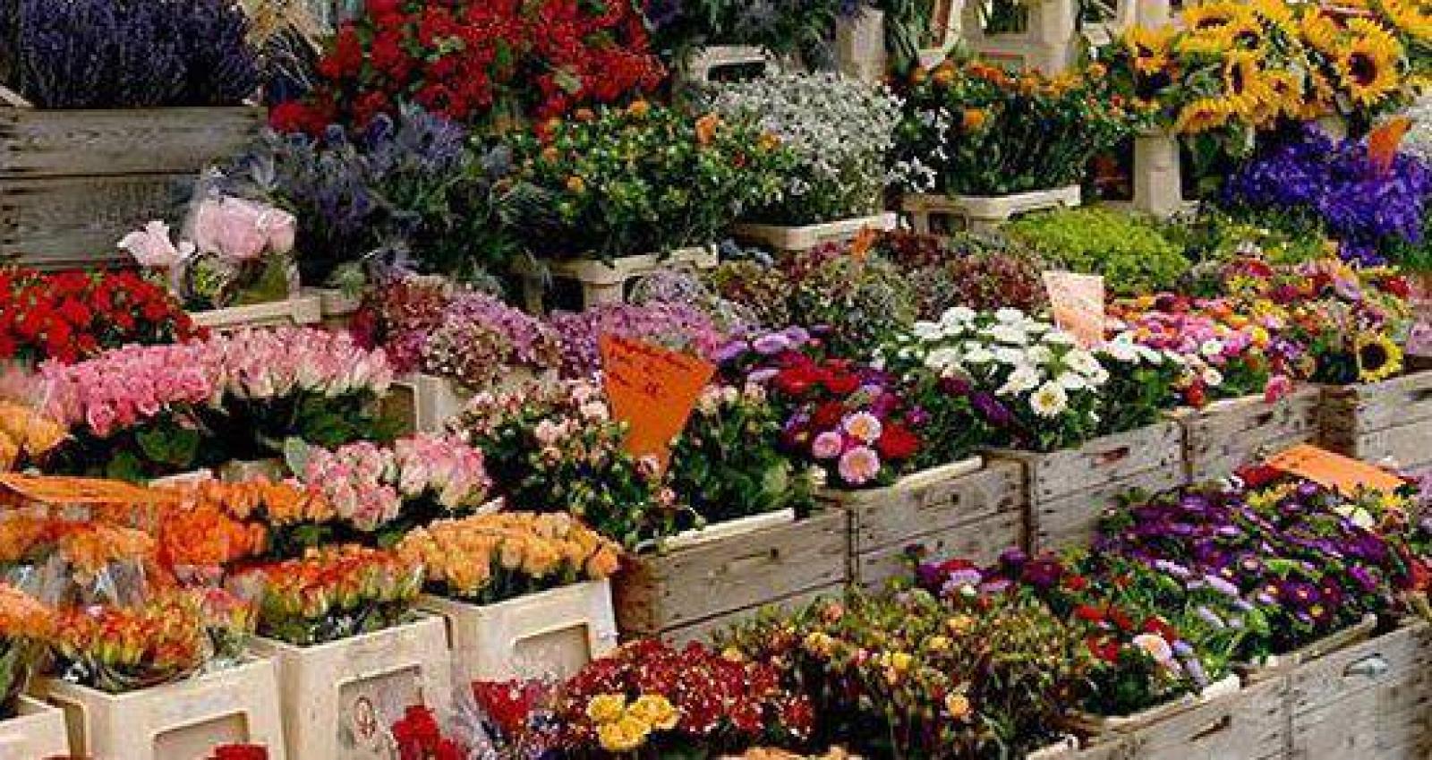 Una domenica tra i fiori e nel rispetto dell'ambiente