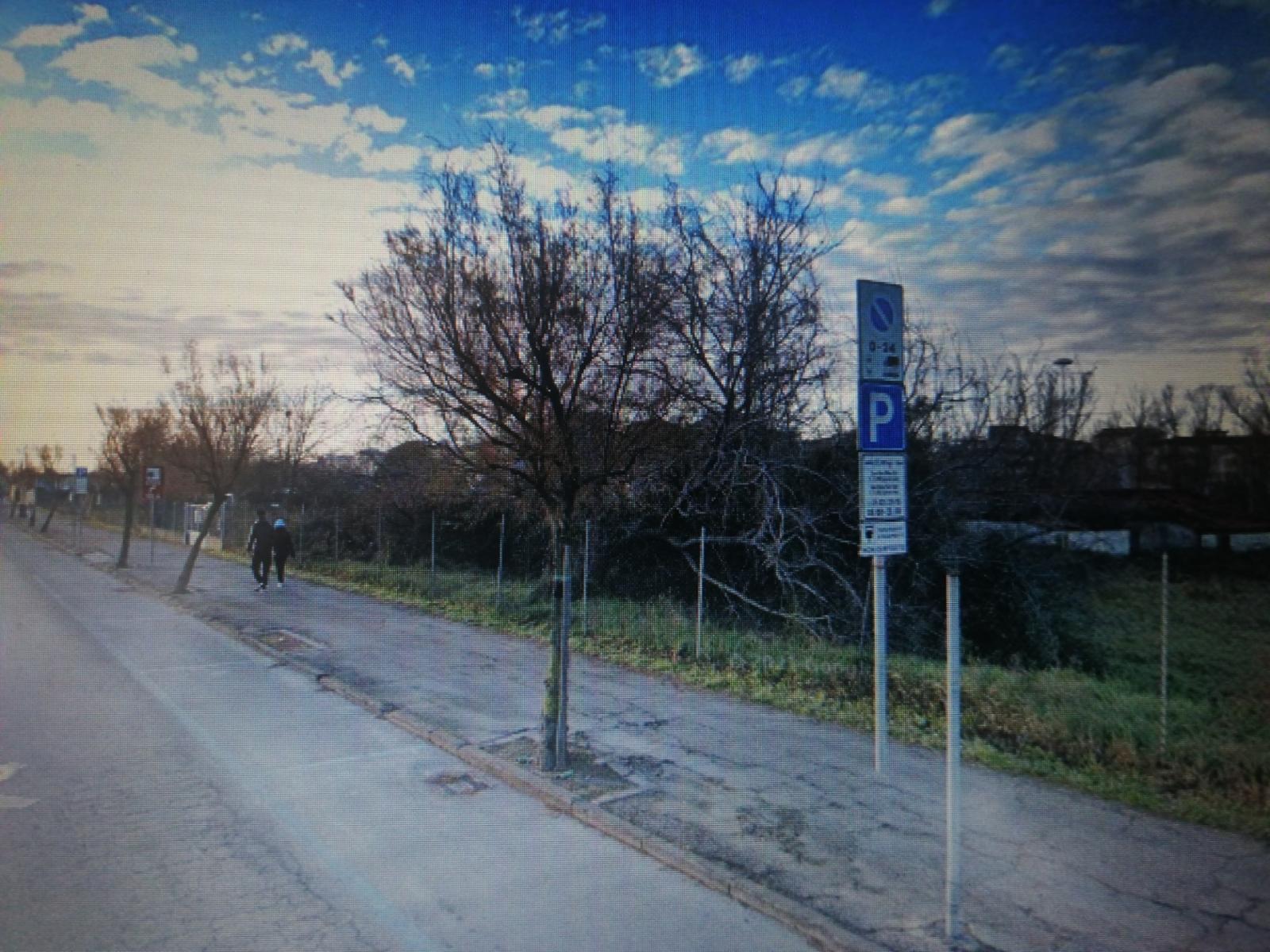 Prognosi riservata per l'operaio colpito dall'albero