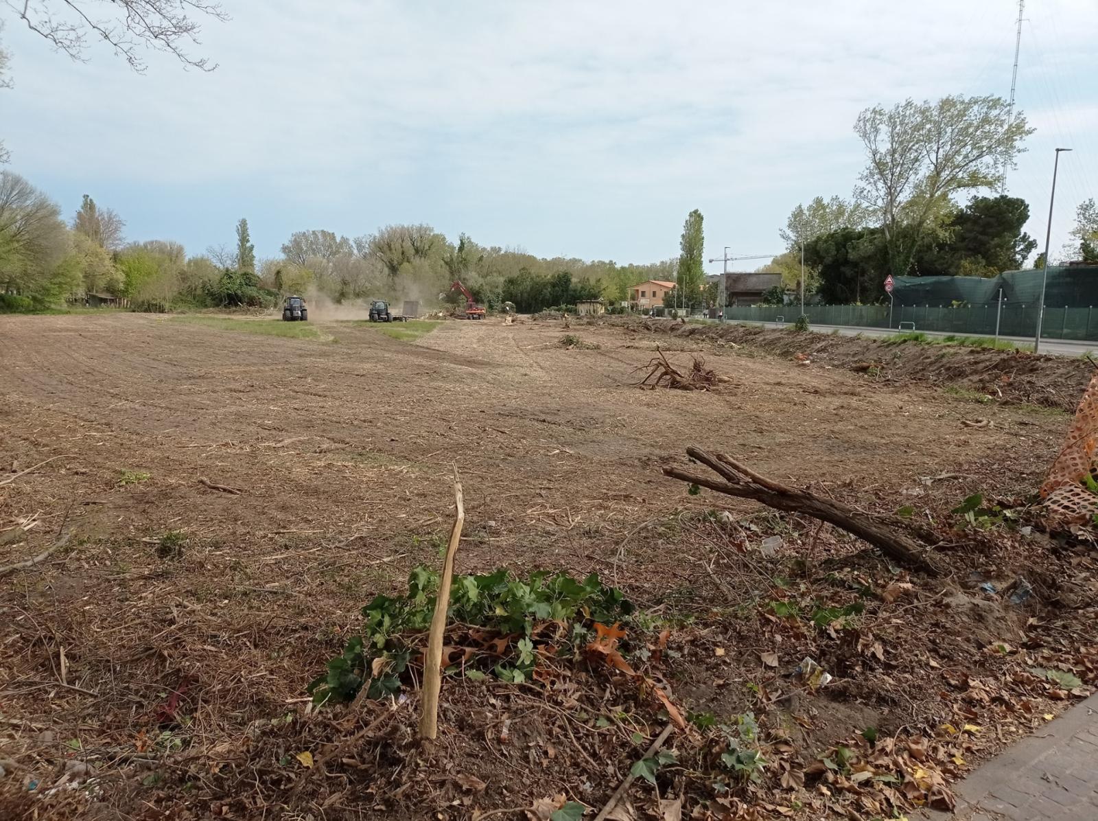 Via del Boschetto, gi&agrave; disboscata