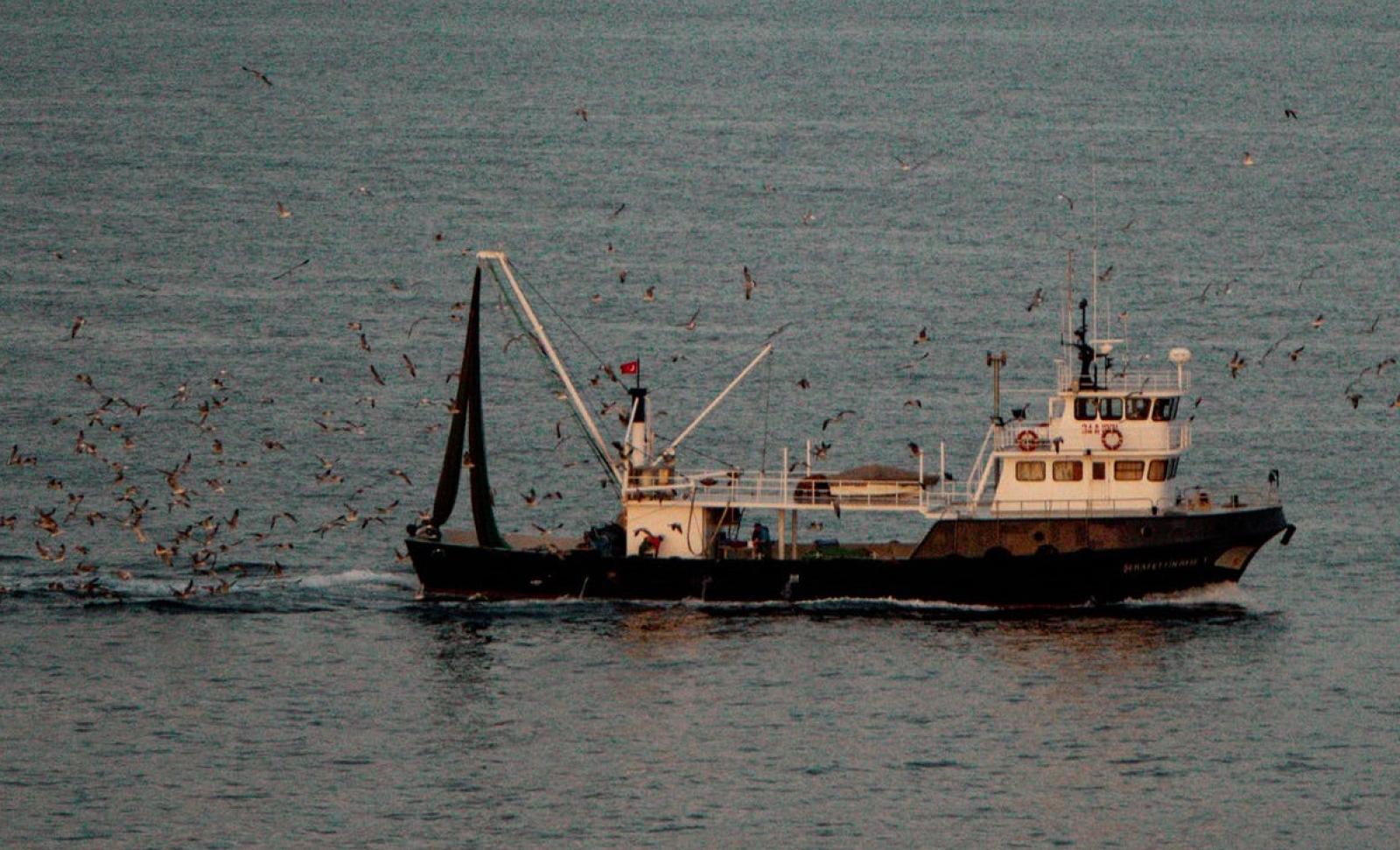 Pesca come patrimonio dell'Unesco