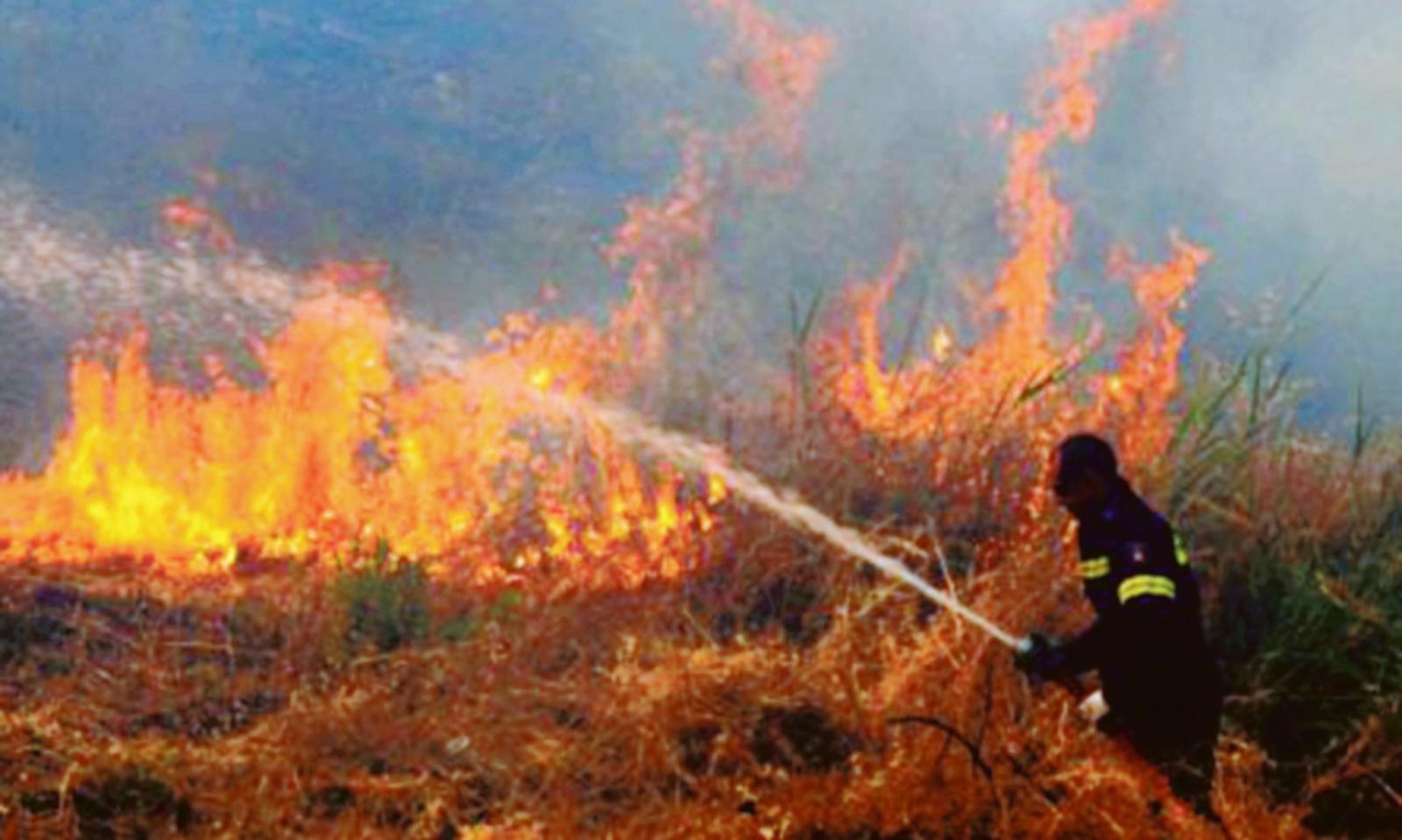 Il sindaco: &ldquo;Pi&ugrave; controlli al parco degli Orti&rdquo;