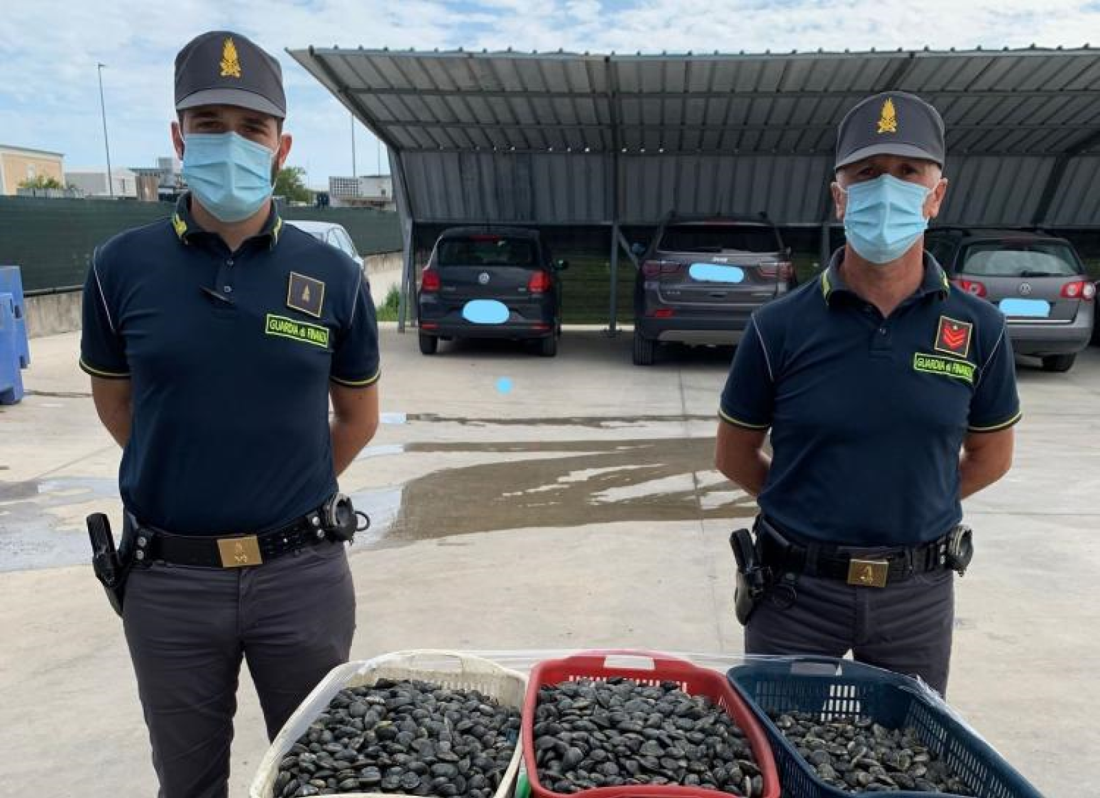 Maxi sequestro: 600 chili di vongole "abusive" a Chioggia