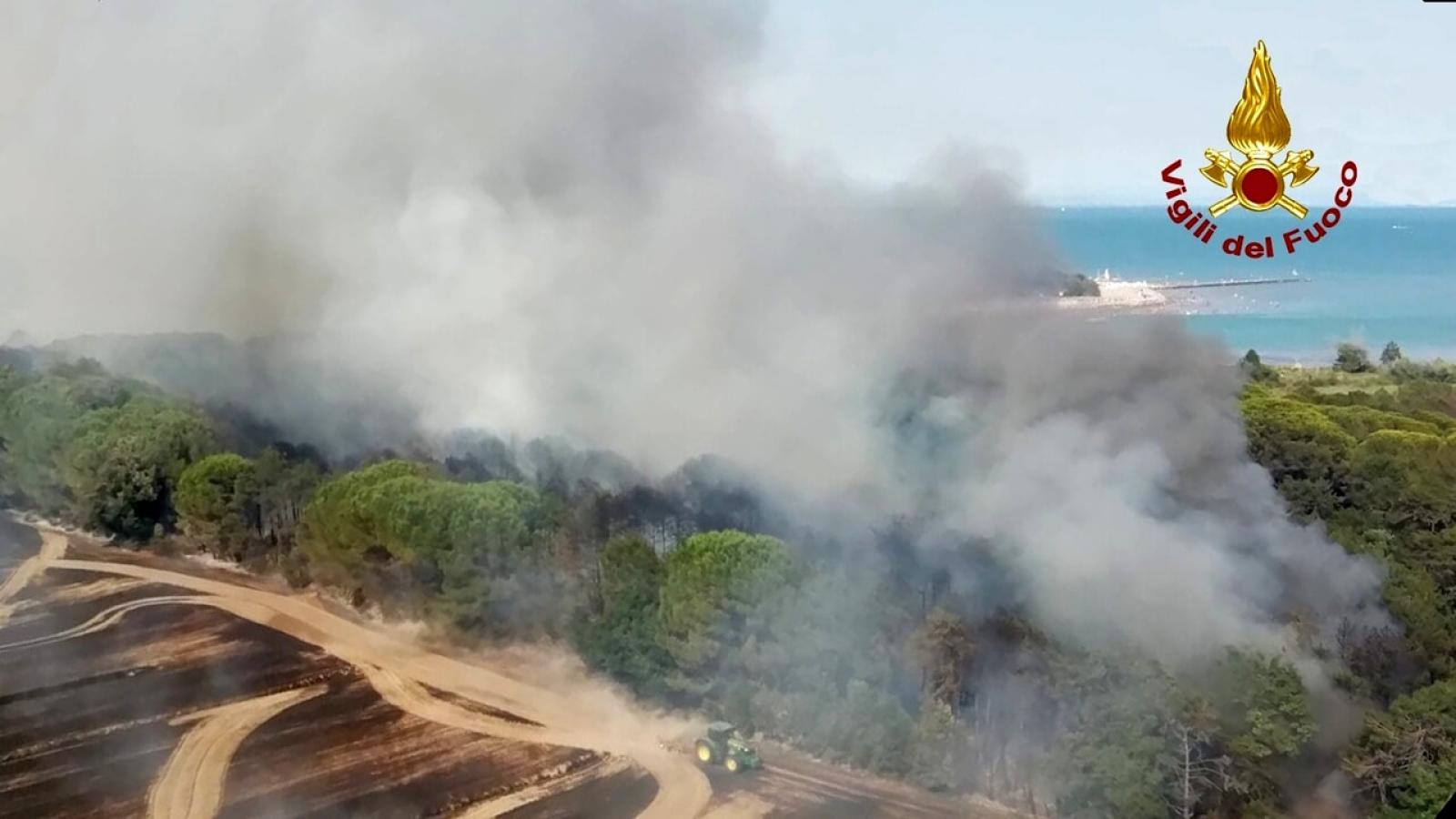 Devastante incendio in pineta a Bibione