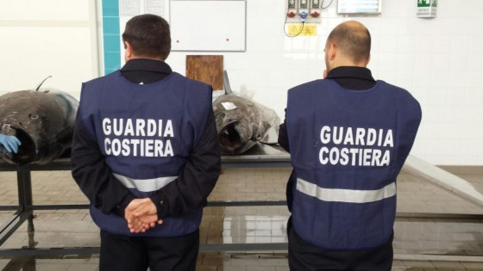 Sequestrati 3 quintali di vongole lupino