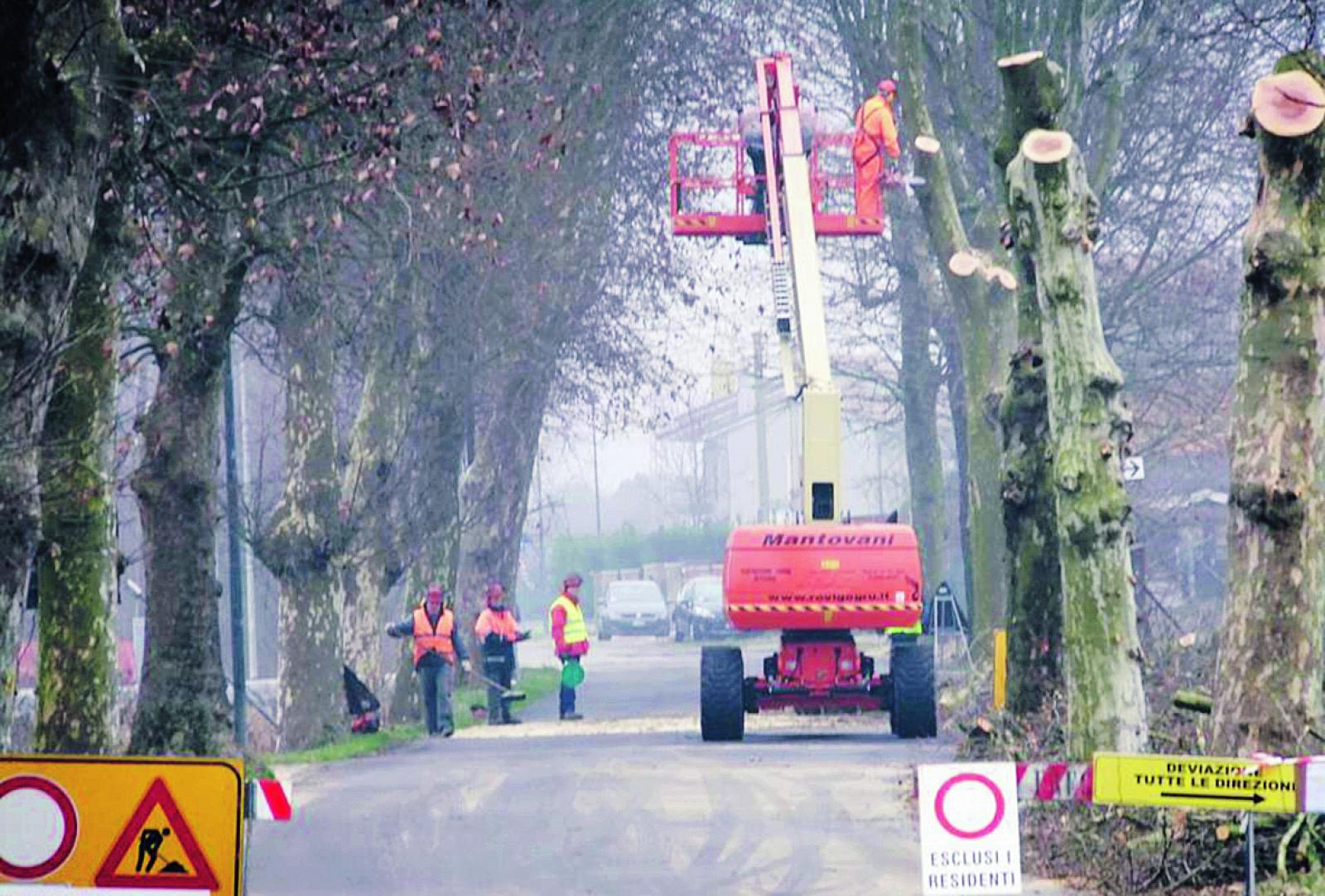 Sfalci e potature, al via i lavori