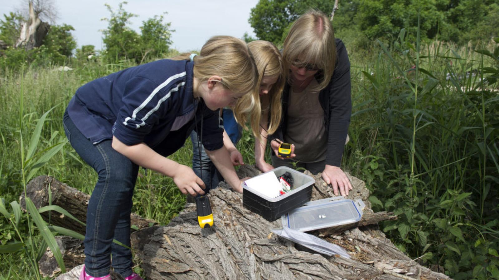 Bimbi a caccia di tesori a Bosco Nordio