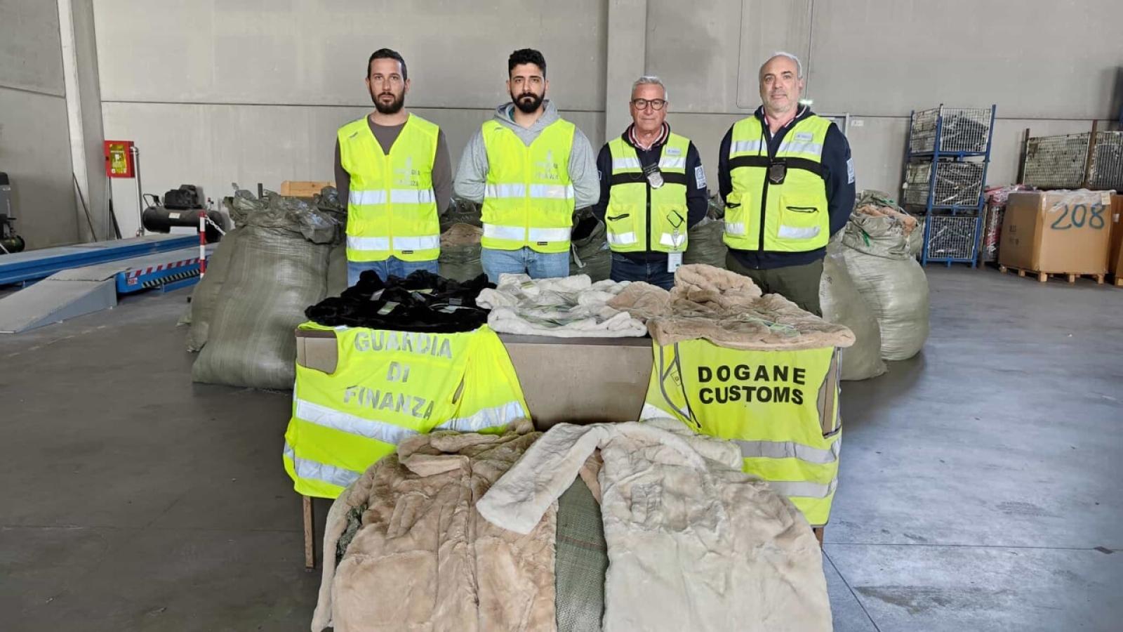 Sequestrati 51mila capi d'abbigliamento falsati