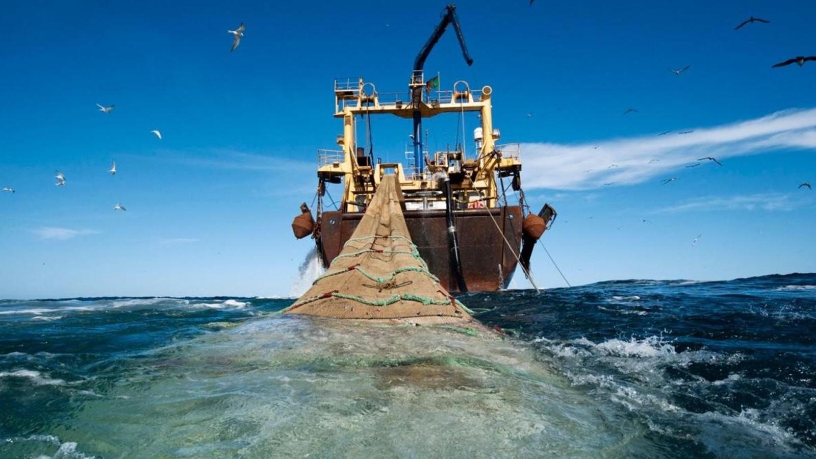 Fedagripesca, dalla filiera ittica 50mila nuovi posti di lavoro