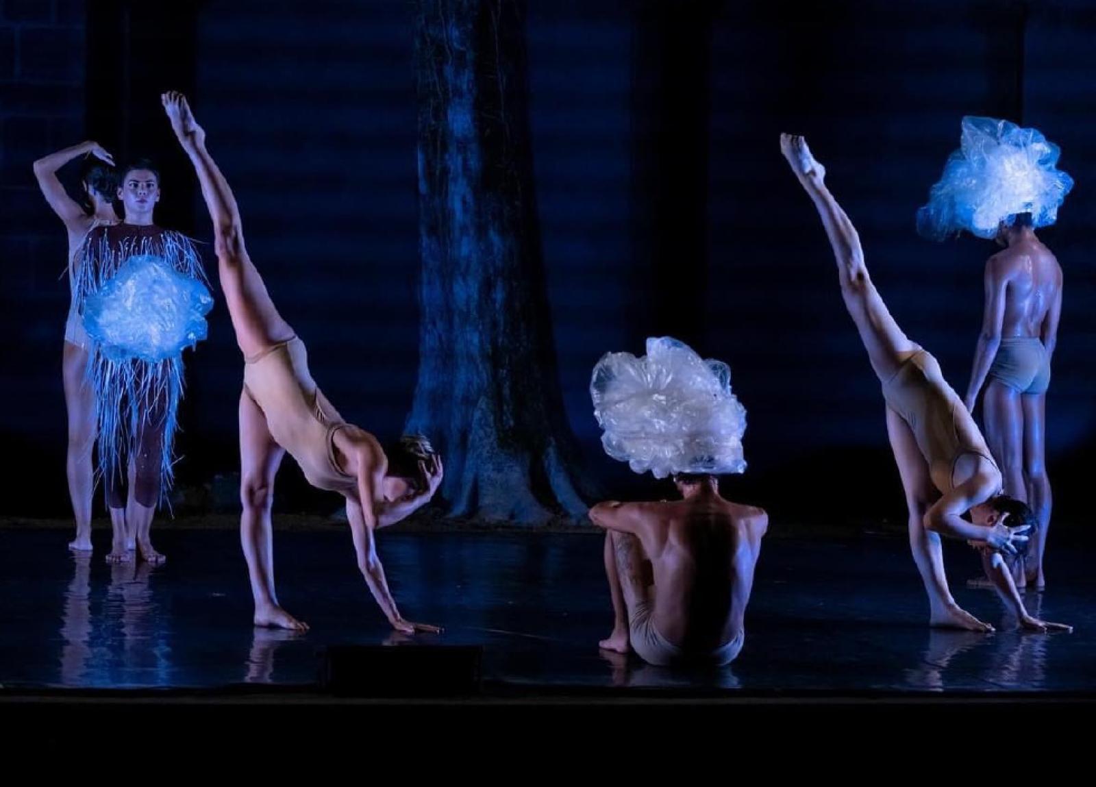 &ldquo;Le quattro stagioni&rdquo; in auditorium