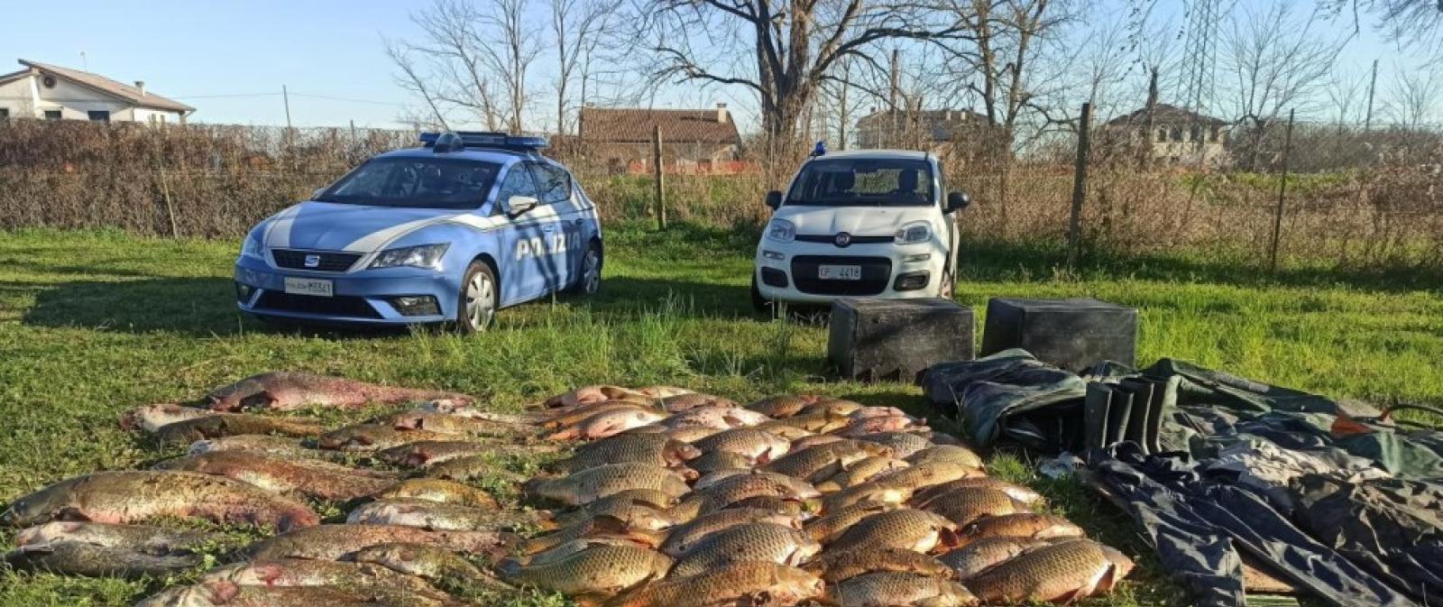 Bracconieri in azioni, sequestrato 600 chili di pesce