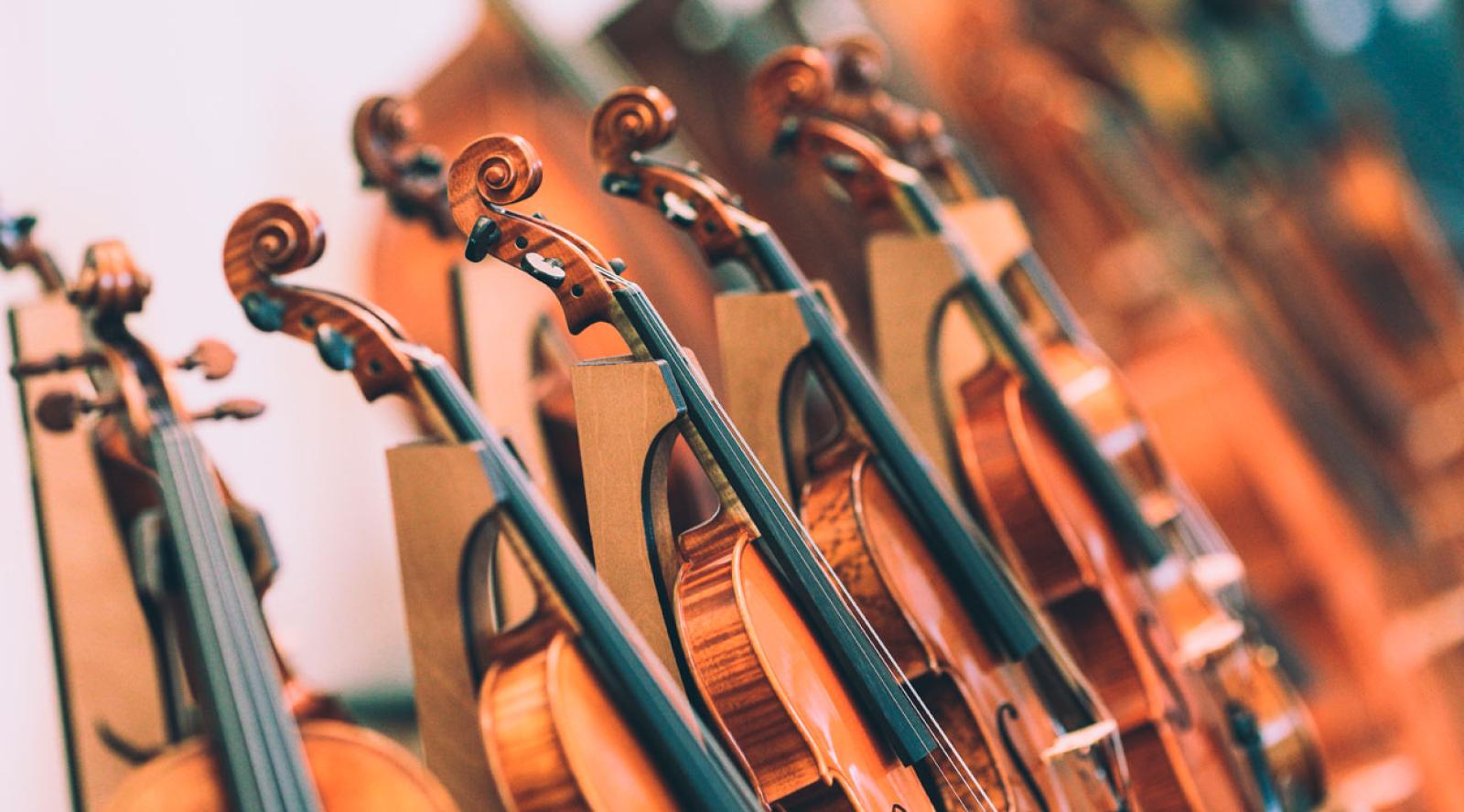 Domenica in concerto i violinisti Solisti dell&rsquo;Accademia del maestro Bogdanovic 