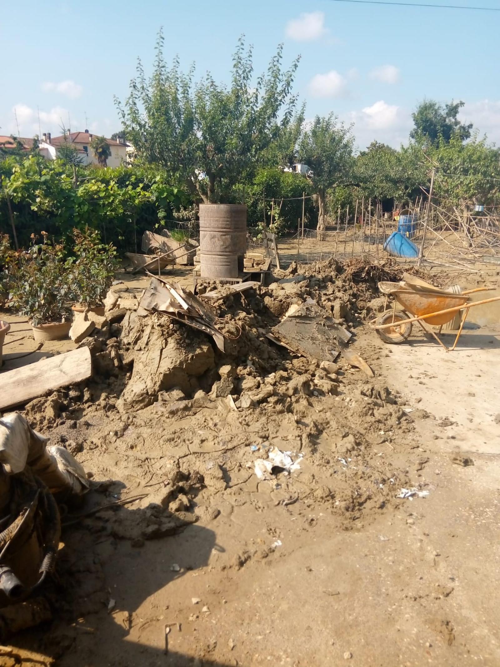 Danni ambientali nel territori,  il bilancio di Amico Giardiniere