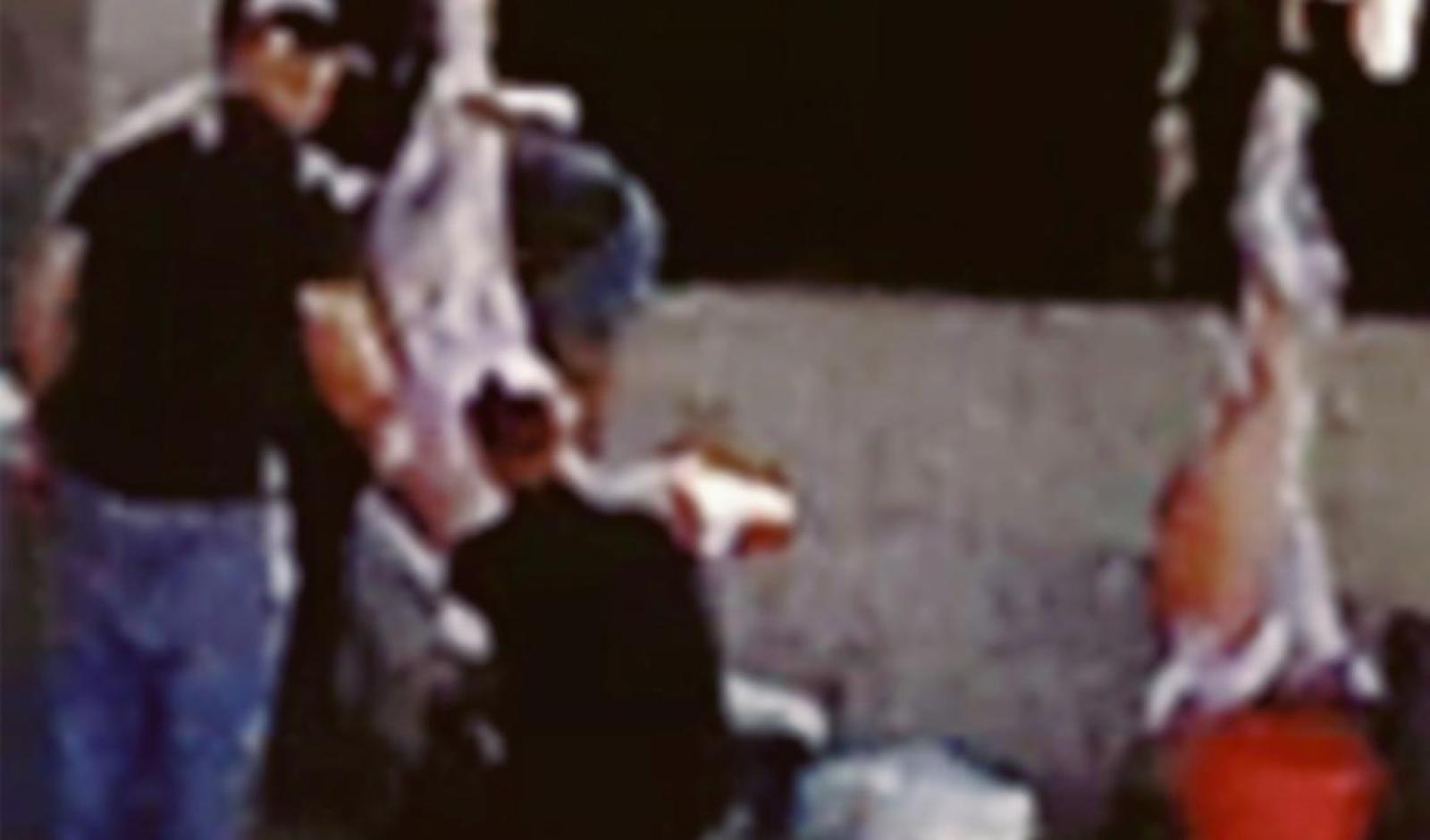 Macello abusivo, Ulss 3 e carabinieri vigilano