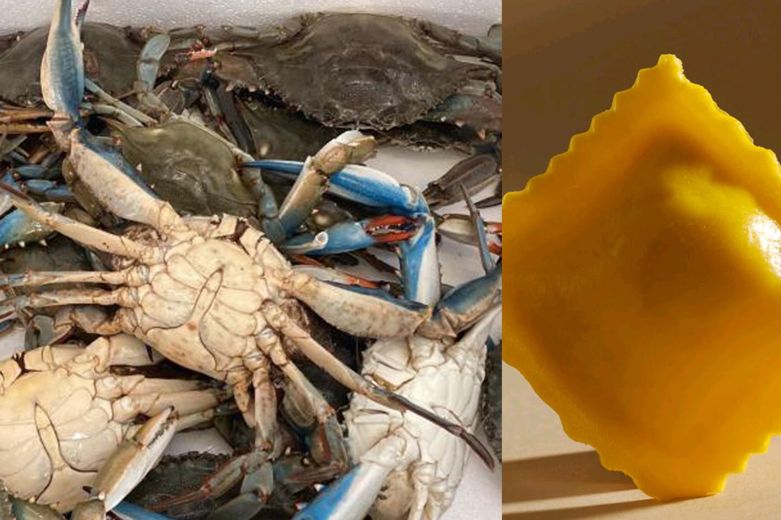 Ravioli di granchio blu pronti per l'export