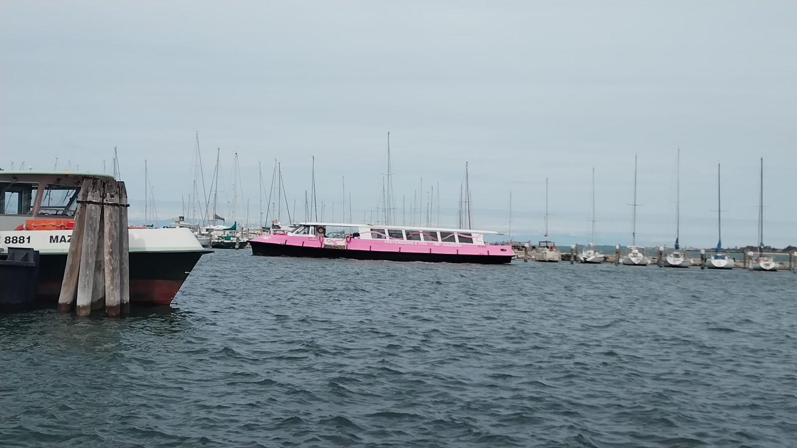 E&rsquo; attraccato il vaporetto rosa