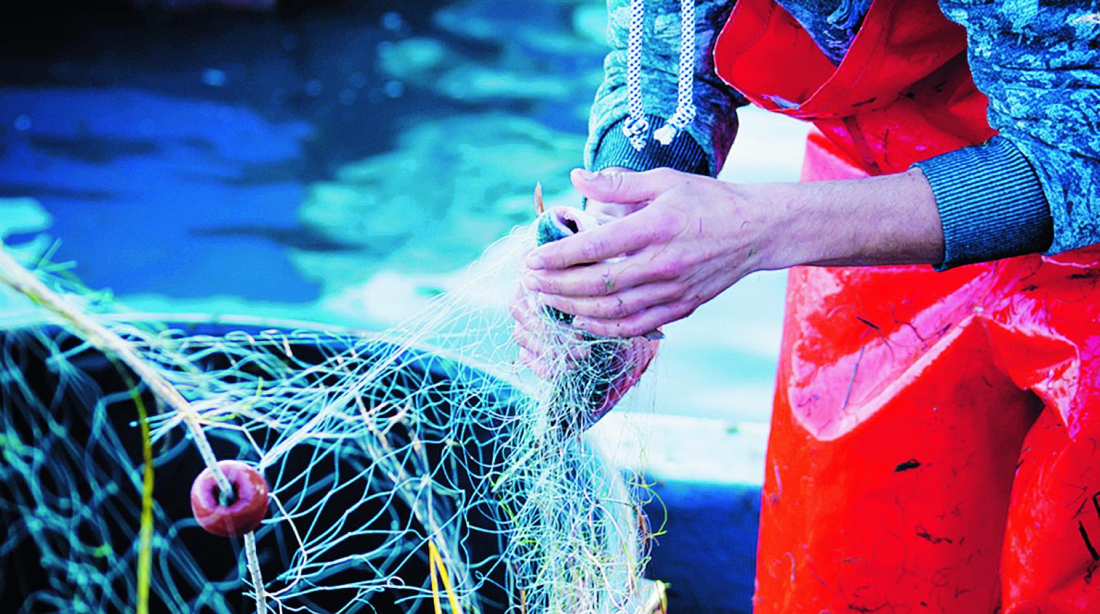 Fermo pesca, indennit&agrave; tagliate