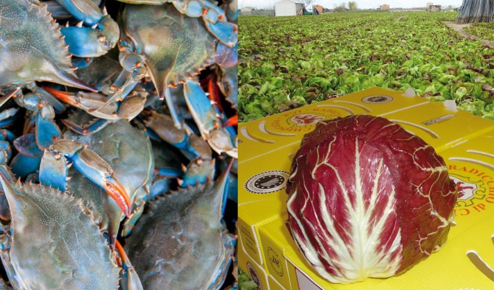 Il radicchio si sposa col granchio