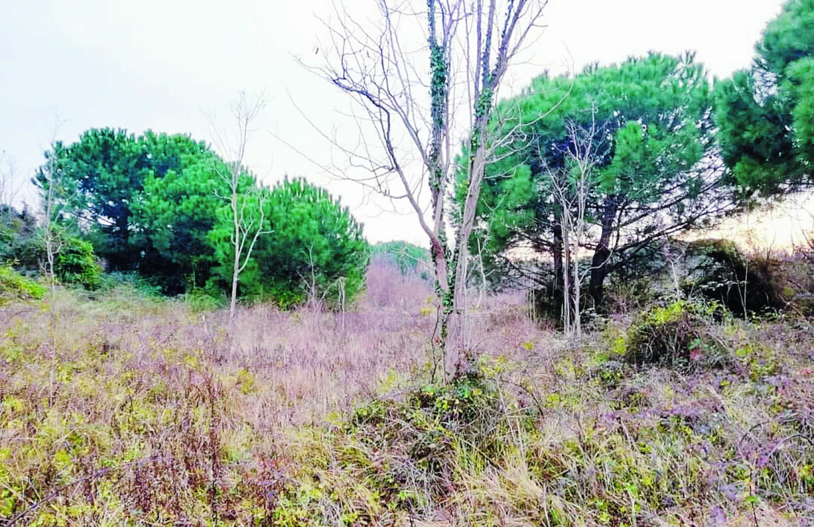 "Sistemate l'ex compendio di Forte San Felice"