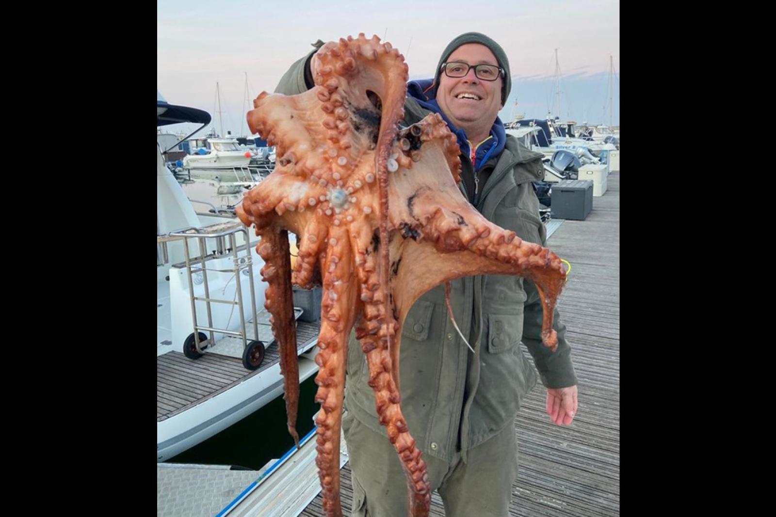 Dal profondo degli abissi