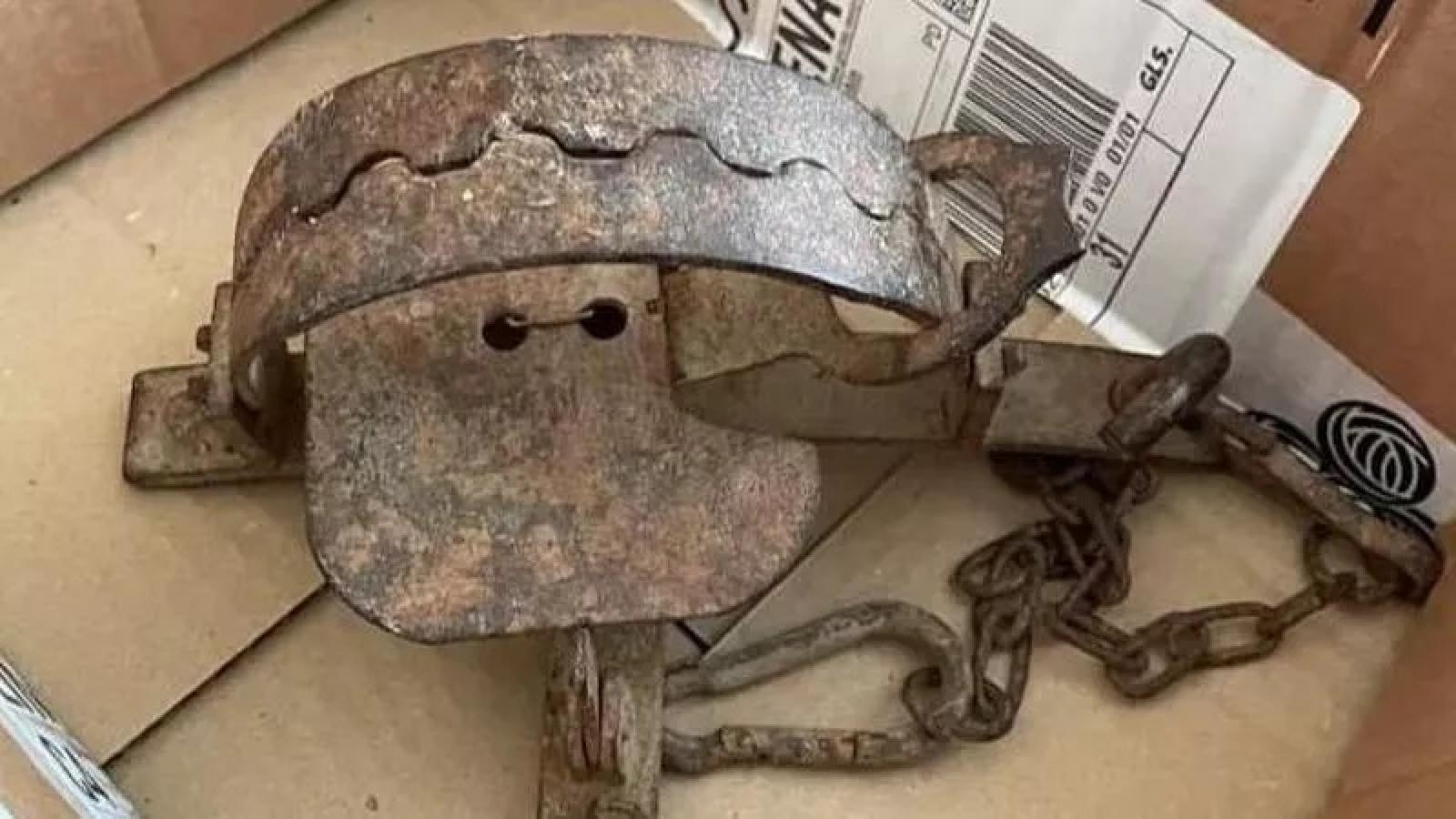 Mette tagliole giganti e mutila un gattino