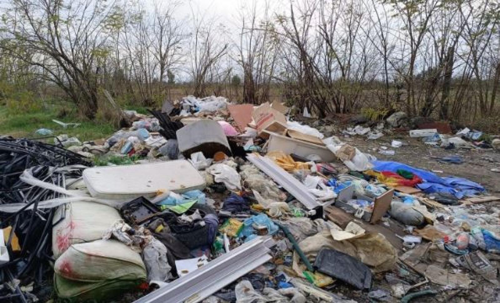 Rifiuti a stienta po (7)