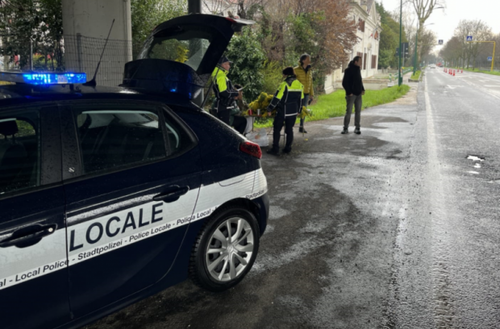 Sequestrati 260 mazzi di mimose vendute abusivamente