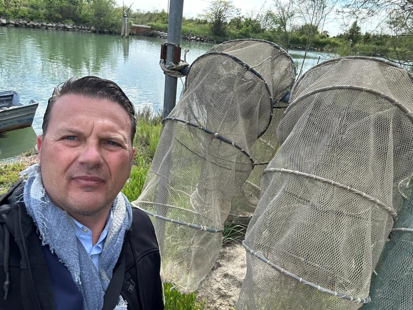 Mitilla, esempio di resilienza