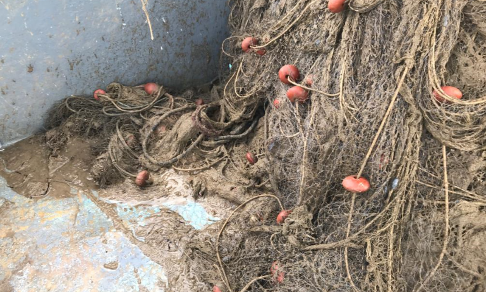 Mucillagini, chiesto lo stato di calamit&agrave; naturale