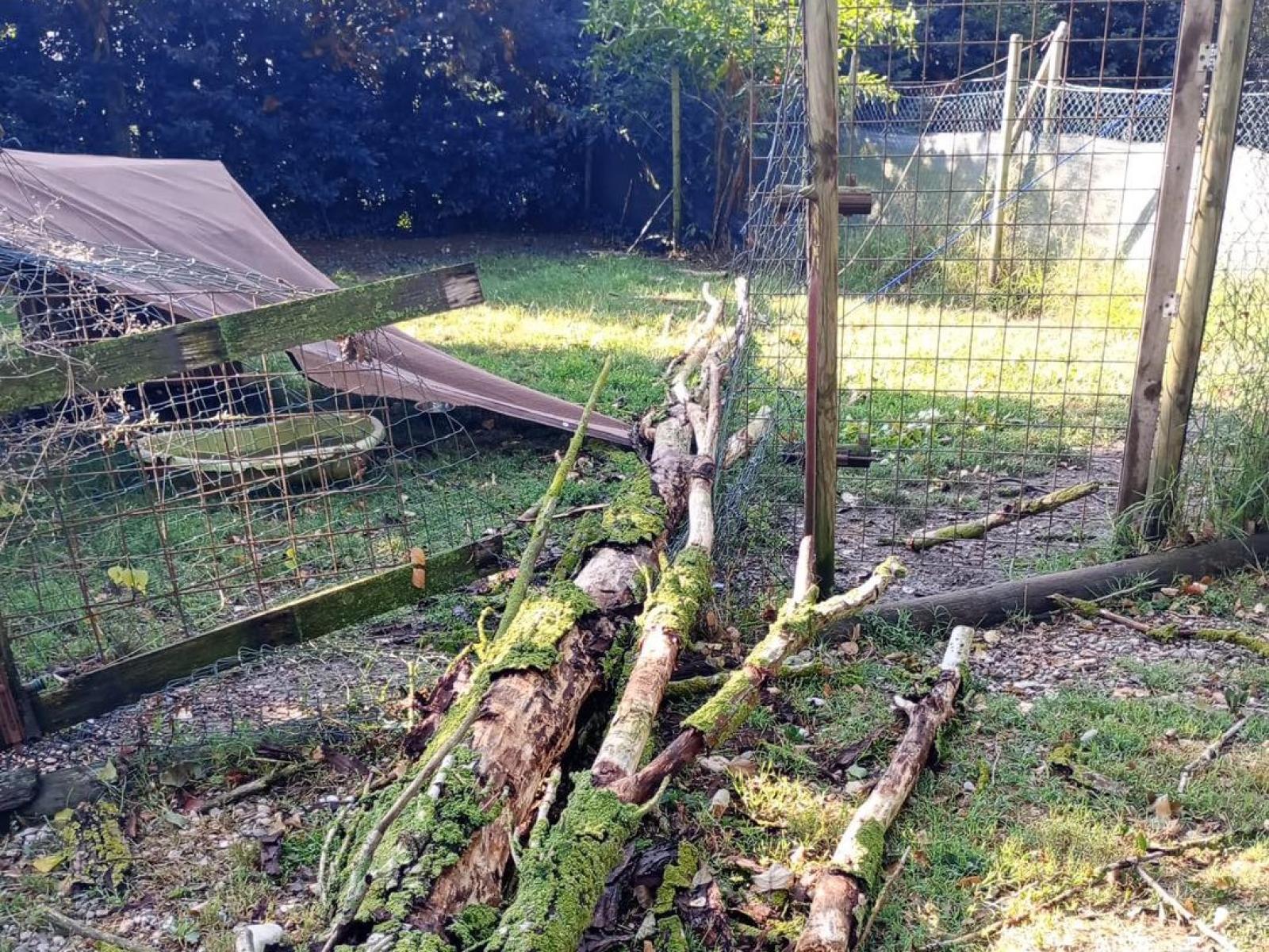 Citt&agrave; degli Angeli chiede aiuto