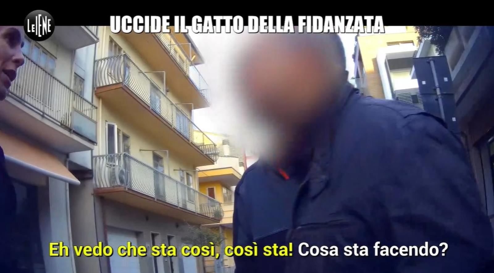 Le Iene a Chioggia per  il drammatico caso del gatto Green 