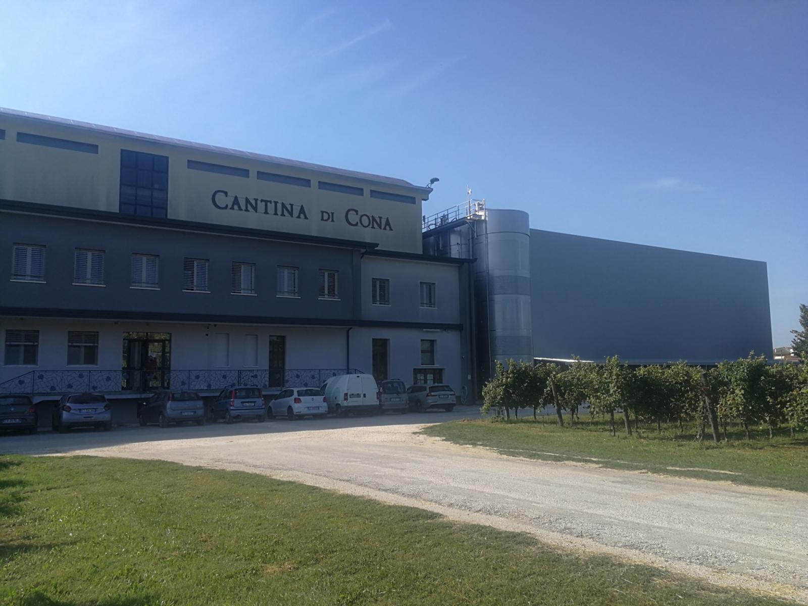 Pinot Grigio delle Venezie, il futuro &egrave; meno alcolico