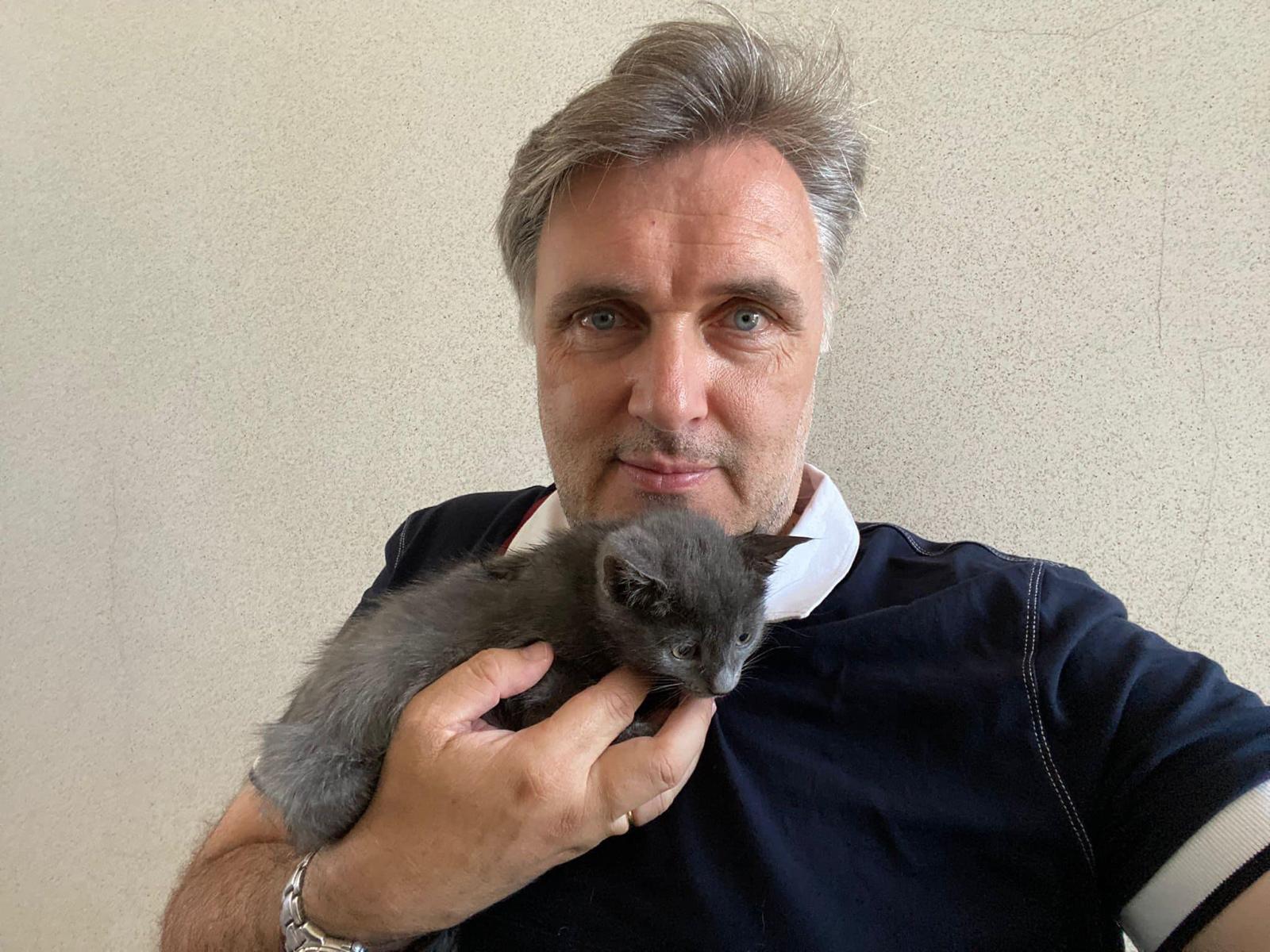 Il nuovo gattile dedicato a Green