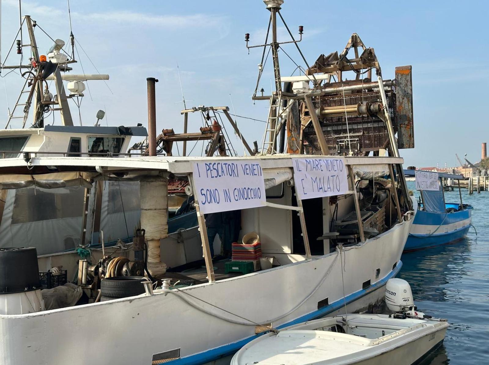La pesca &egrave; ormai al collasso