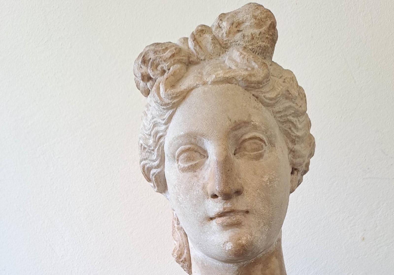 Trovano nella cantina una testa dell&rsquo;epoca romana