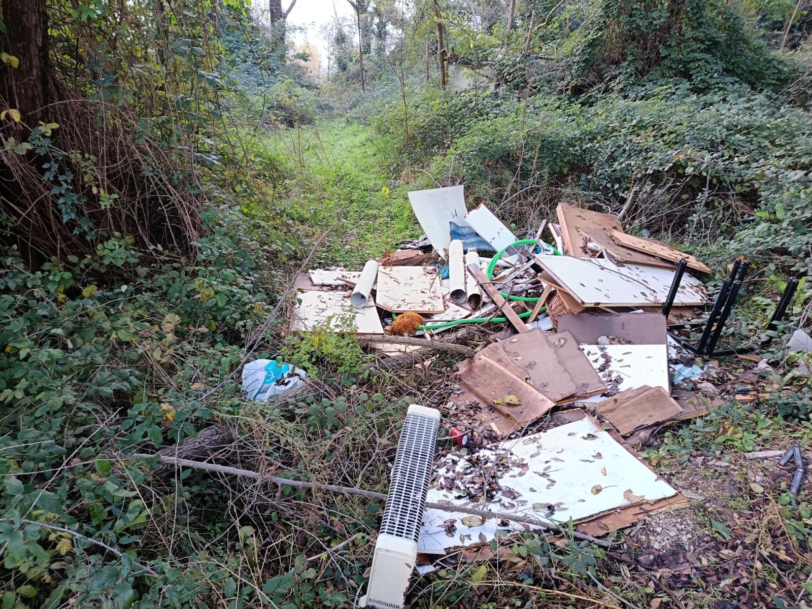 Abbandoni selvaggi di rifiuti 