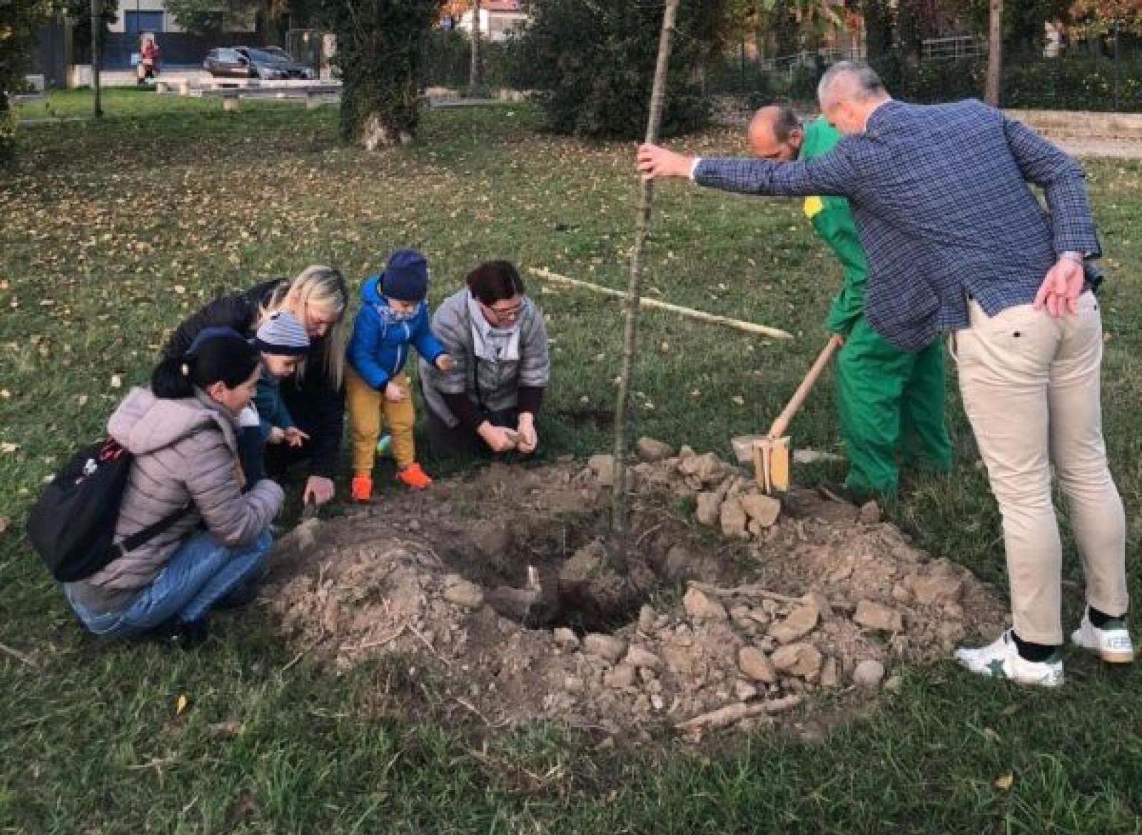 Tanti alberi per le famiglie