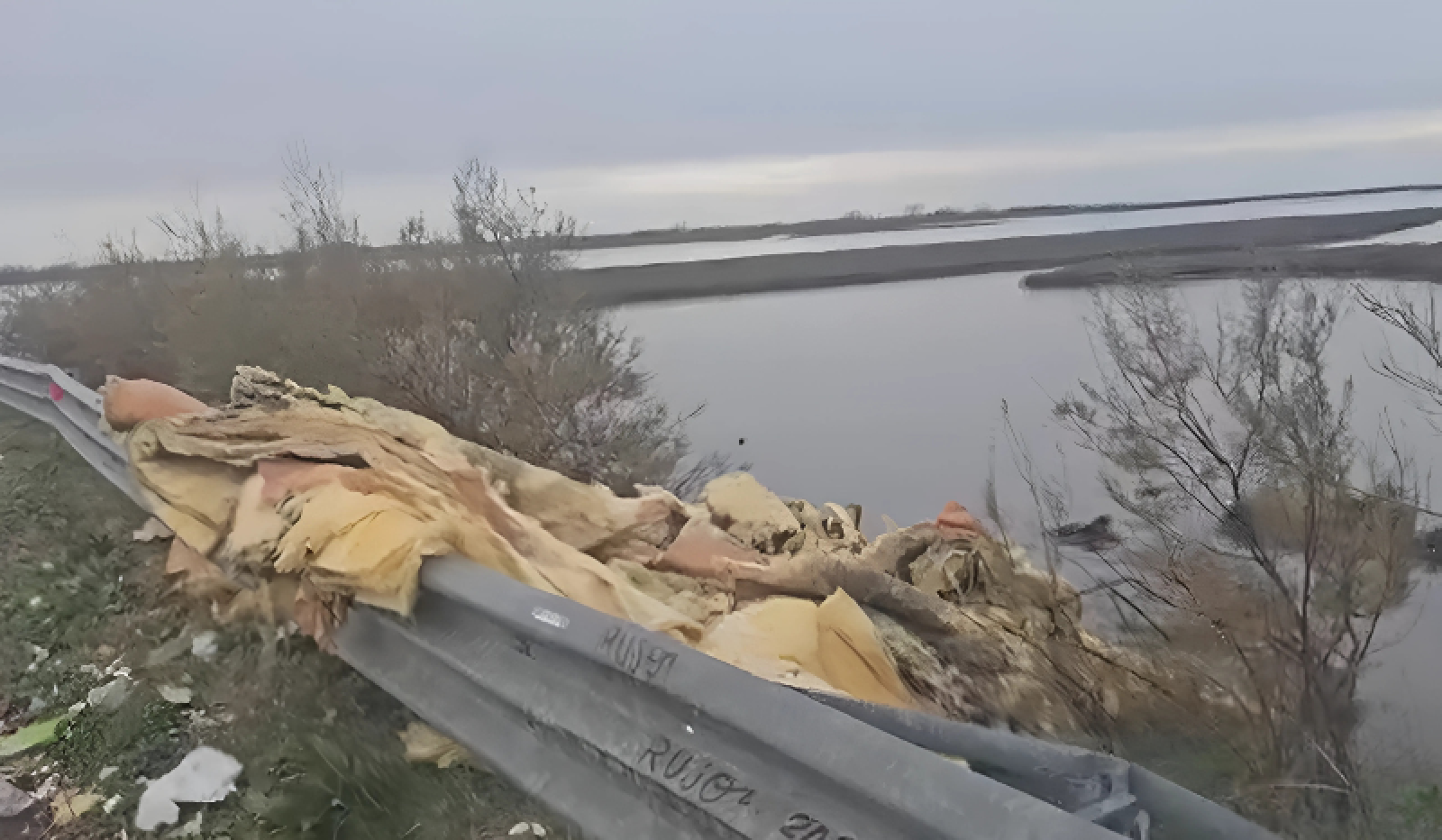 Sacca Toro, via al recupero obiettivo salvare le vongole