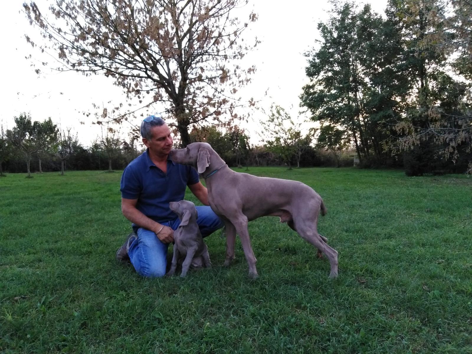 Cani di razza pronti a... volare